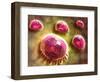 Microscopic View of Phagocytic Macrophages-null-Framed Art Print