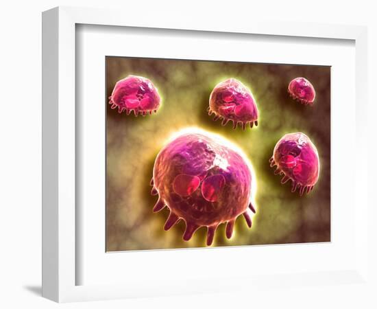 Microscopic View of Phagocytic Macrophages-null-Framed Art Print