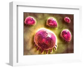 Microscopic View of Phagocytic Macrophages-null-Framed Art Print