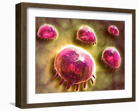 Microscopic View of Phagocytic Macrophages-null-Framed Art Print