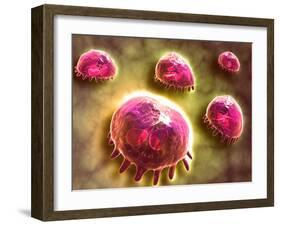 Microscopic View of Phagocytic Macrophages-null-Framed Art Print