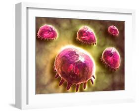 Microscopic View of Phagocytic Macrophages-null-Framed Art Print