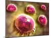 Microscopic View of Phagocytic Macrophages-null-Mounted Art Print