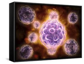 Microscopic View of Poliovirus-null-Framed Stretched Canvas