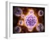 Microscopic View of Poliovirus-null-Framed Art Print