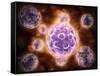 Microscopic View of Poliovirus-null-Framed Stretched Canvas