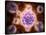 Microscopic View of Poliovirus-null-Stretched Canvas