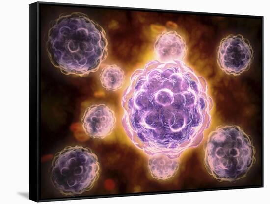 Microscopic View of Poliovirus-null-Framed Stretched Canvas