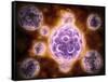 Microscopic View of Poliovirus-null-Framed Stretched Canvas