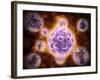 Microscopic View of Poliovirus-null-Framed Art Print