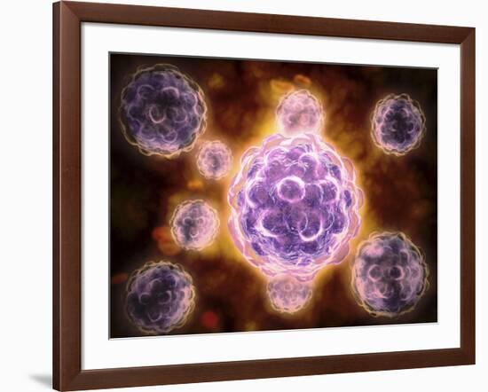 Microscopic View of Poliovirus-null-Framed Art Print