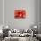 Microscopic View of Red Blood Cells Flowing Inside Lungs-null-Stretched Canvas displayed on a wall