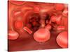 Microscopic View of Red Blood Cells Flowing Inside Lungs-null-Stretched Canvas