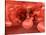 Microscopic View of Red Blood Cells Flowing Inside Lungs-null-Stretched Canvas