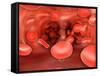 Microscopic View of Red Blood Cells Flowing Inside Lungs-null-Framed Stretched Canvas