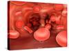 Microscopic View of Red Blood Cells Flowing Inside Lungs-null-Stretched Canvas