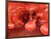 Microscopic View of Red Blood Cells Flowing Inside Lungs-null-Framed Art Print