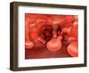 Microscopic View of Red Blood Cells Flowing Inside Lungs-null-Framed Art Print