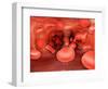 Microscopic View of Red Blood Cells Flowing Inside Lungs-null-Framed Art Print