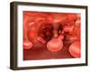 Microscopic View of Red Blood Cells Flowing Inside Lungs-null-Framed Art Print