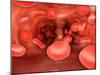 Microscopic View of Red Blood Cells Flowing Inside Lungs-null-Mounted Art Print