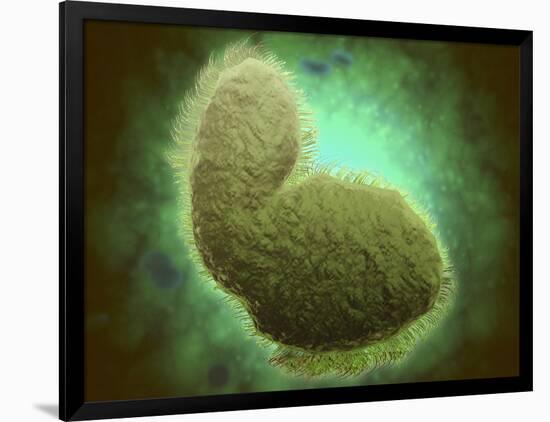 Microscopic View of Respiratory Syncytial Virus-null-Framed Art Print