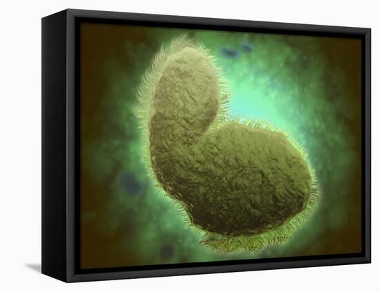 Microscopic View of Respiratory Syncytial Virus-null-Framed Stretched Canvas