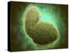 Microscopic View of Respiratory Syncytial Virus-null-Stretched Canvas