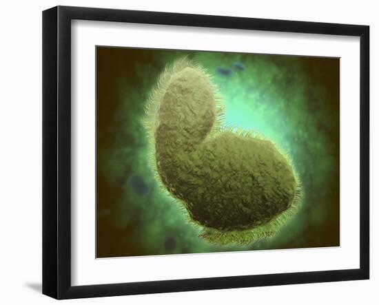 Microscopic View of Respiratory Syncytial Virus-null-Framed Art Print