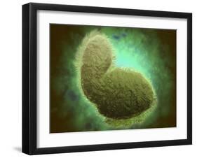 Microscopic View of Respiratory Syncytial Virus-null-Framed Art Print