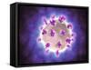 Microscopic View of Rotavirus-null-Framed Stretched Canvas