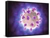 Microscopic View of Rotavirus-null-Framed Stretched Canvas