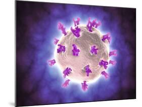 Microscopic View of Rotavirus-null-Mounted Art Print