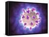 Microscopic View of Rotavirus-null-Framed Stretched Canvas