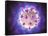 Microscopic View of Rotavirus-null-Framed Stretched Canvas