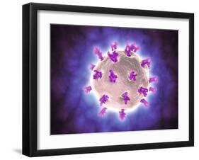 Microscopic View of Rotavirus-null-Framed Art Print