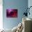 Microscopic View of Samllpox-null-Art Print displayed on a wall