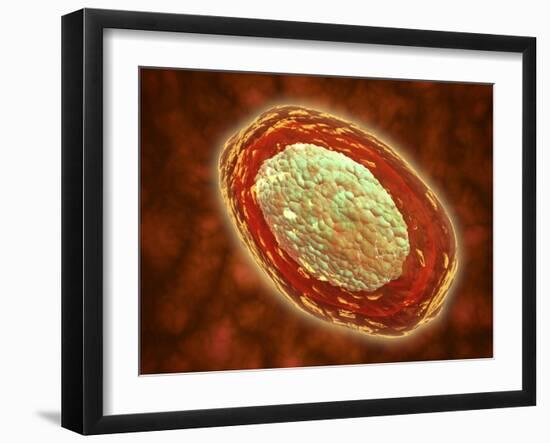 Microscopic View of Samllpox-null-Framed Art Print