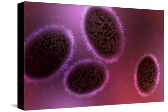 Stretched Canvas Print, , large