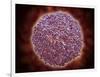 Microscopic View of Sindbis Virus-null-Framed Art Print