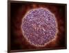 Microscopic View of Sindbis Virus-null-Framed Art Print