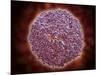 Microscopic View of Sindbis Virus-null-Mounted Art Print