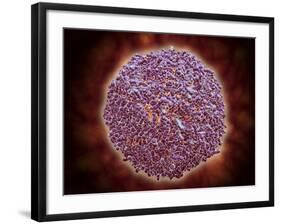 Microscopic View of Sindbis Virus-null-Framed Art Print