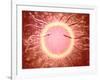 Microscopic View of Sperm Swimming Towards Egg-null-Framed Art Print