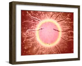 Microscopic View of Sperm Swimming Towards Egg-null-Framed Art Print