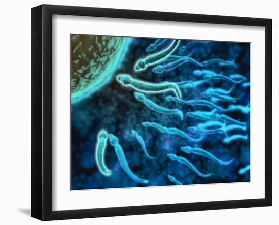 Microscopic View of Sperm Swimming Towards Egg-null-Framed Art Print