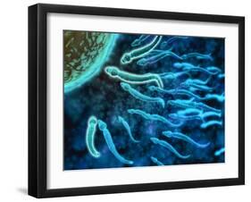 Microscopic View of Sperm Swimming Towards Egg-null-Framed Art Print