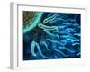 Microscopic View of Sperm Swimming Towards Egg-null-Framed Art Print