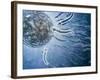 Microscopic View of Sperm Swimming Towards Egg-null-Framed Art Print