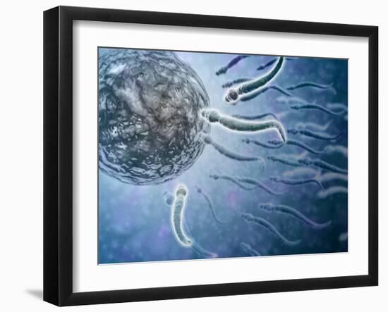 Microscopic View of Sperm Swimming Towards Egg-null-Framed Art Print